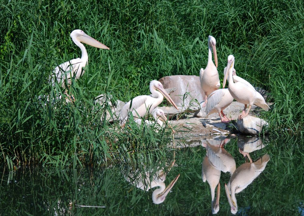 Eine schrecklich nette Familie...