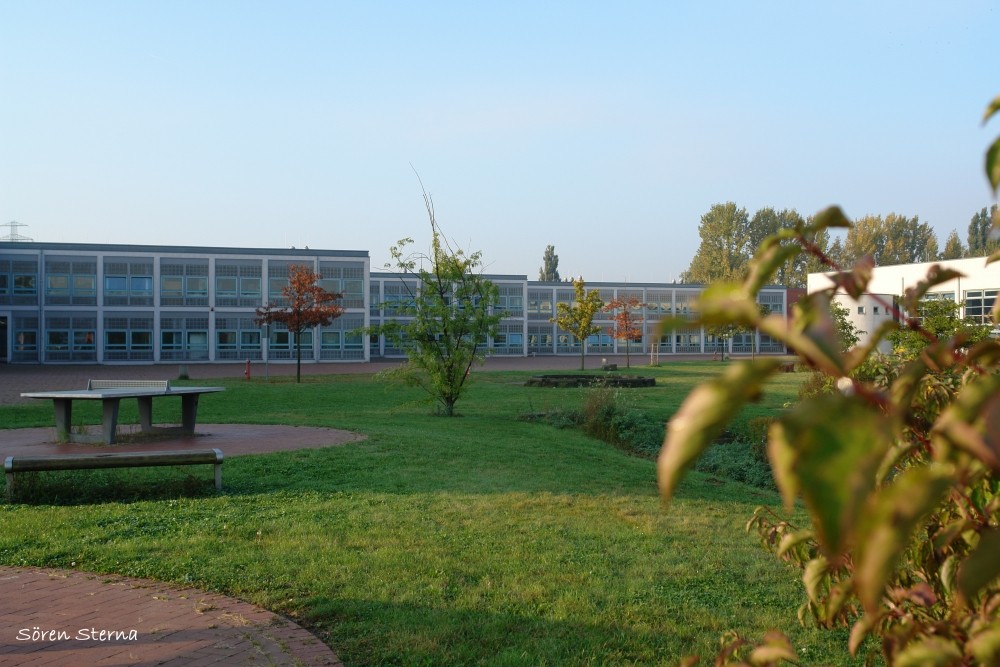 Eine Schule im Grünen ...