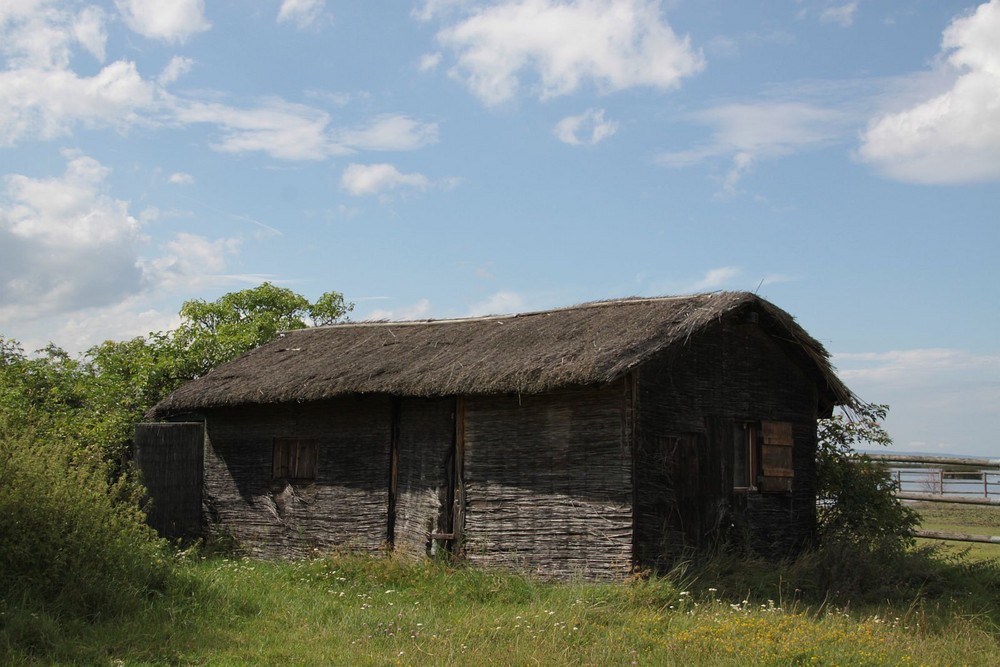 Eine Schutzhütte mit Schilf gedeckt im Vogelschutzgebiet Neusiedlersee