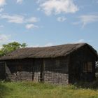 Eine Schutzhütte mit Schilf gedeckt im Vogelschutzgebiet Neusiedlersee