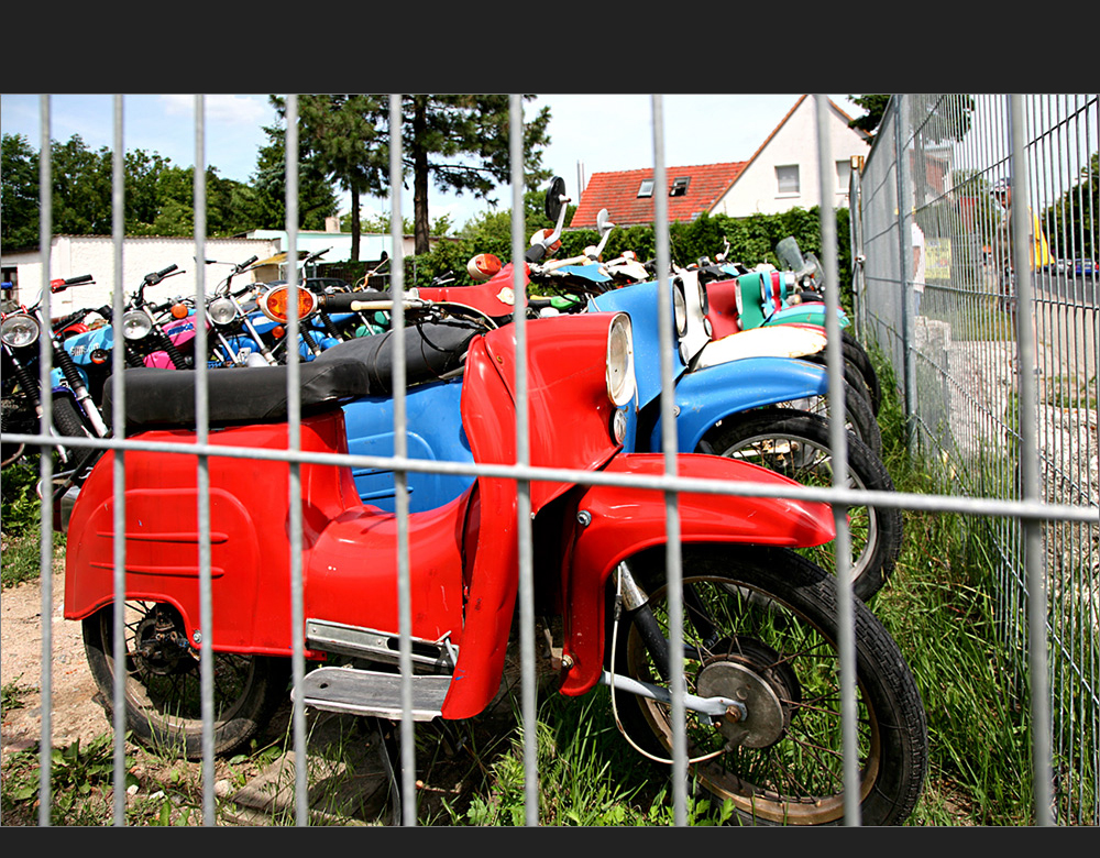 eine Schwalbe macht noch keinen Sommer