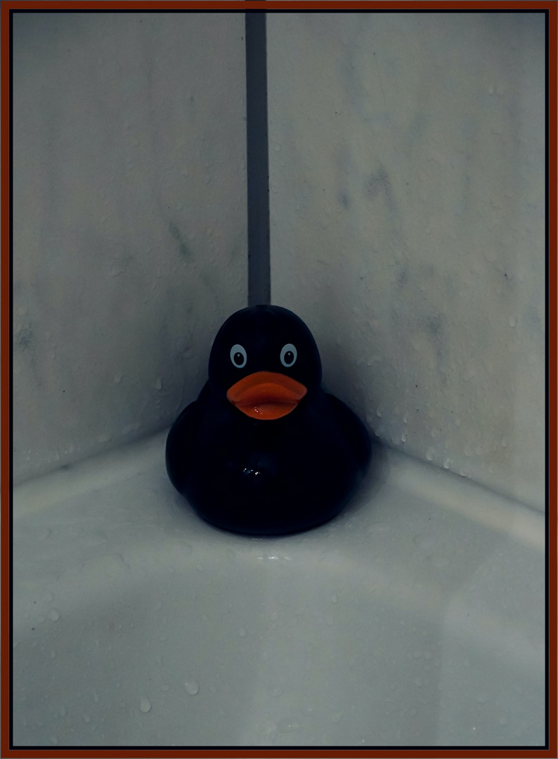 Eine schwarze Ente in einer Hoteldusche !!