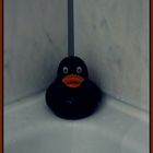 Eine schwarze Ente in einer Hoteldusche !!