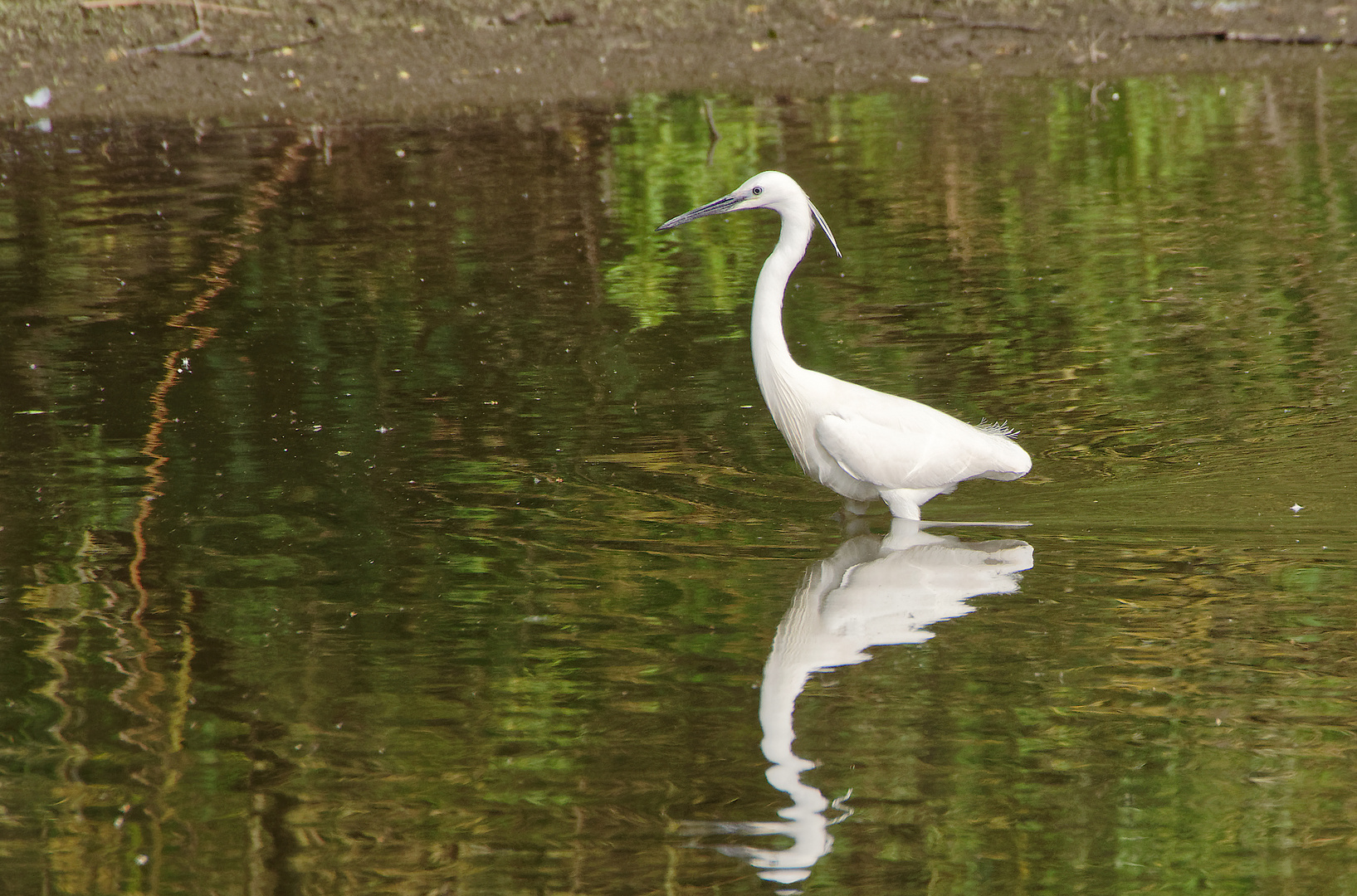 Eine seidenweiche Spiegelung