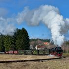 Eine seltene Kombination auf dem Weg nach Nordhausen