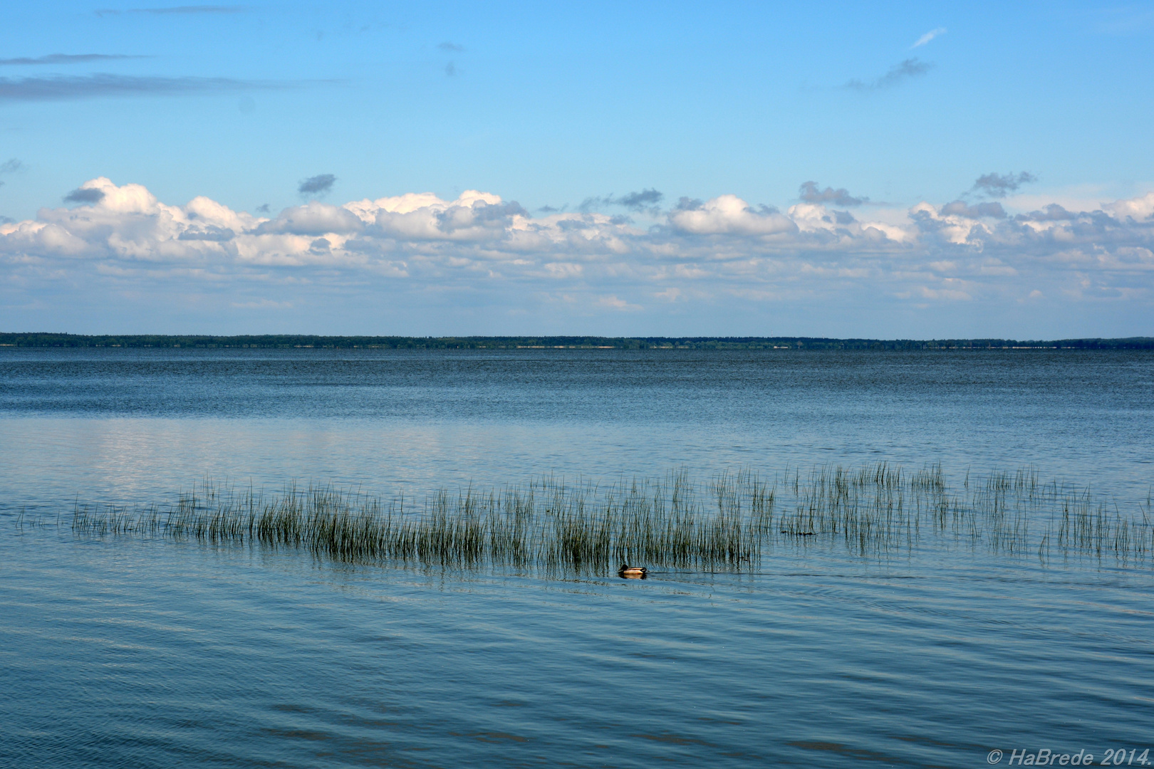 Eine Sicht aufs Kurische Haff