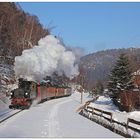 Eine Skispur im Schnee in Oybin