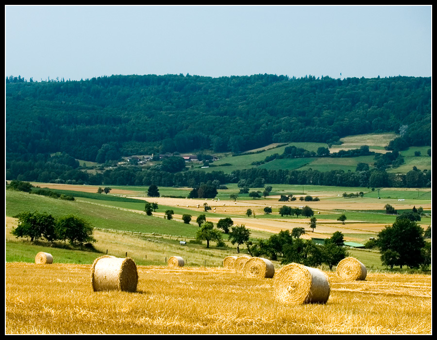 ... eine Sommerreise