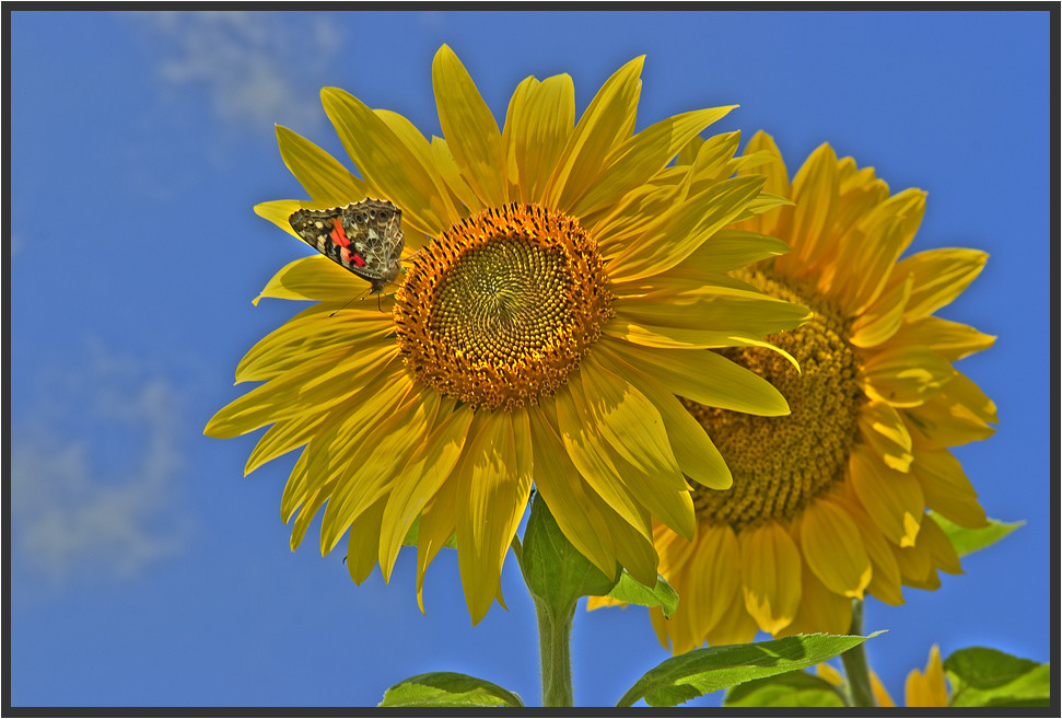 Eine Sommerwoche