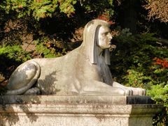 Eine Sphinx in Bonn