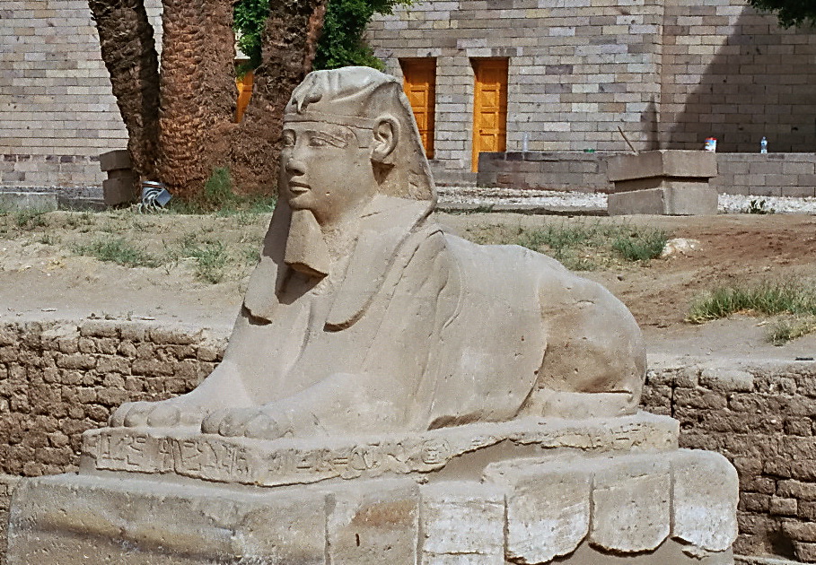 Eine Sphinx in Luxor