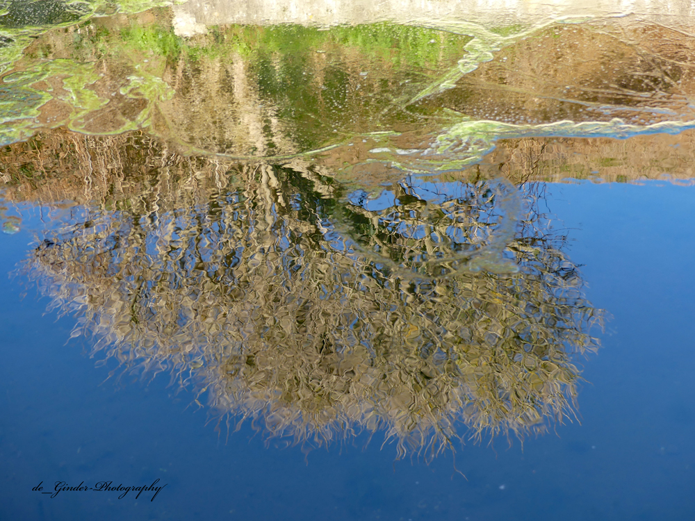 Eine Spiegelung an einem Wasserloch am Meer