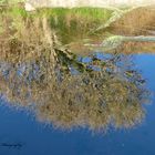 Eine Spiegelung an einem Wasserloch am Meer