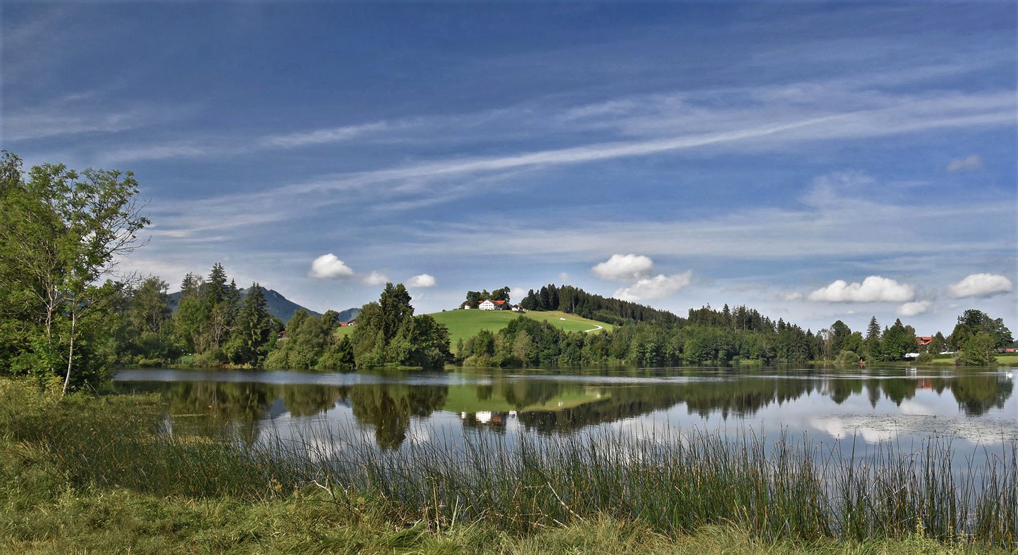 Eine Spiegelung im Schwalten Weiher....