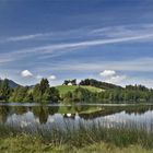 Eine Spiegelung im Schwalten Weiher....