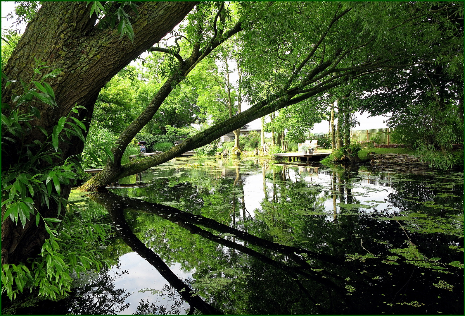 eine Spiegelung in der Natur...immer wieder schön anzusehen