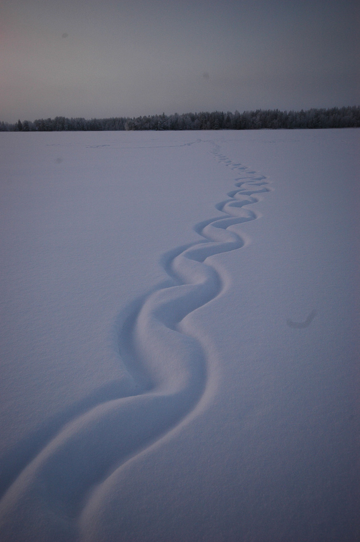 eine Spur im Schnee