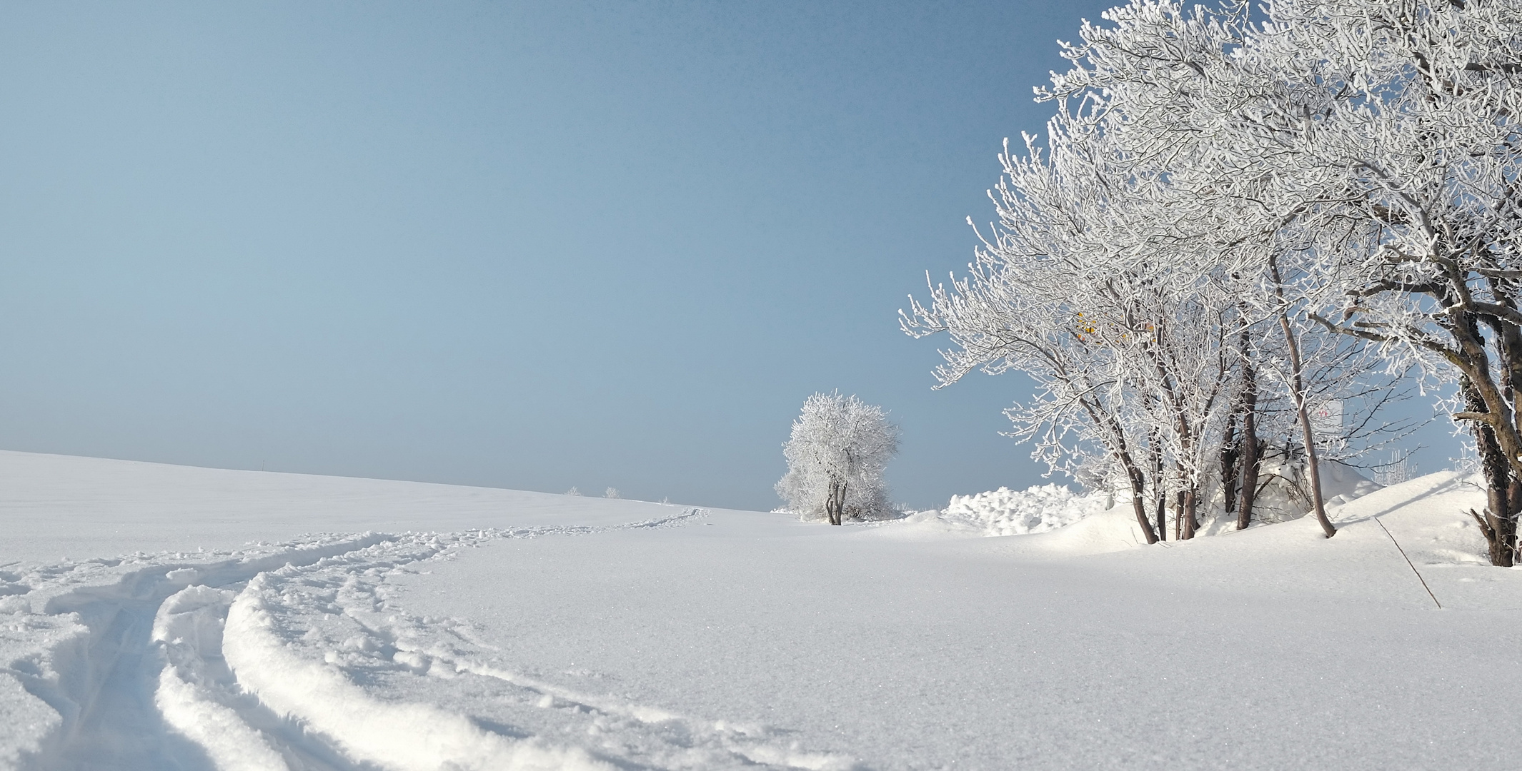 Eine Spur im Schnee