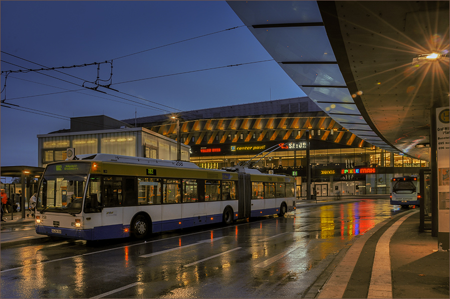 Eine Stadt blüht auf