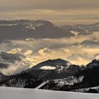 Eine Stadt im Grauen