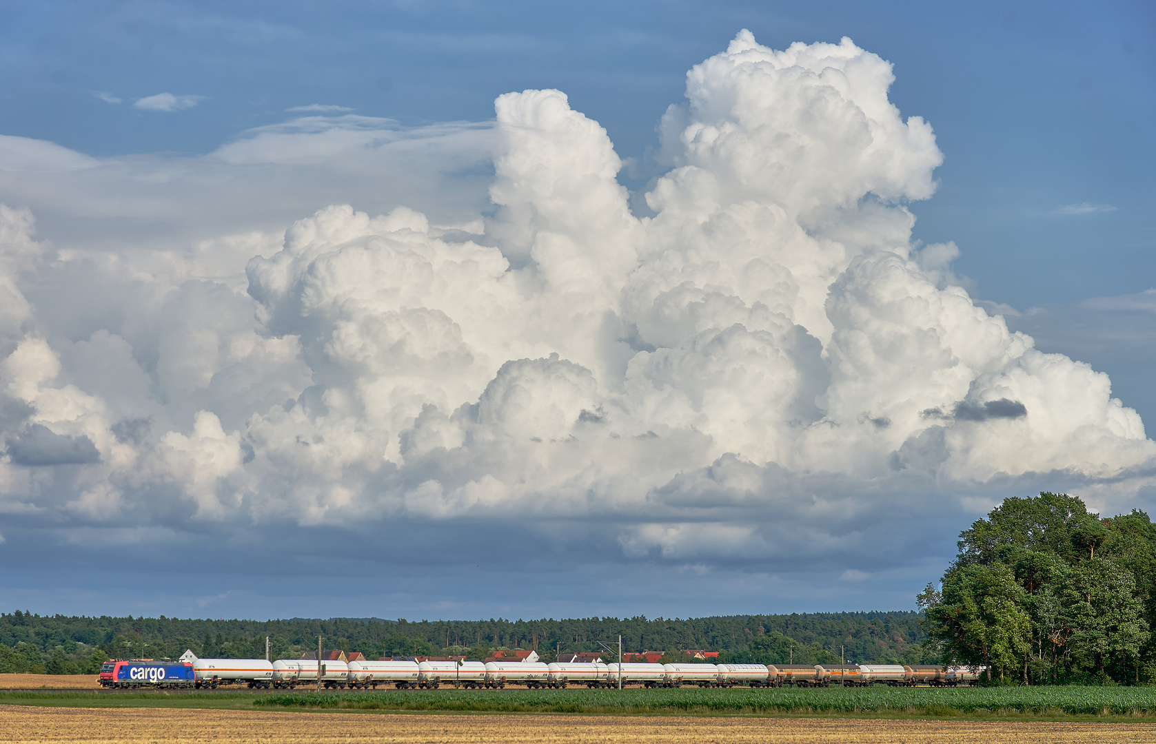 Eine stattliche Cumulonimbus