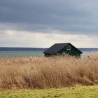 Eine steife Briese zieht über´s Land