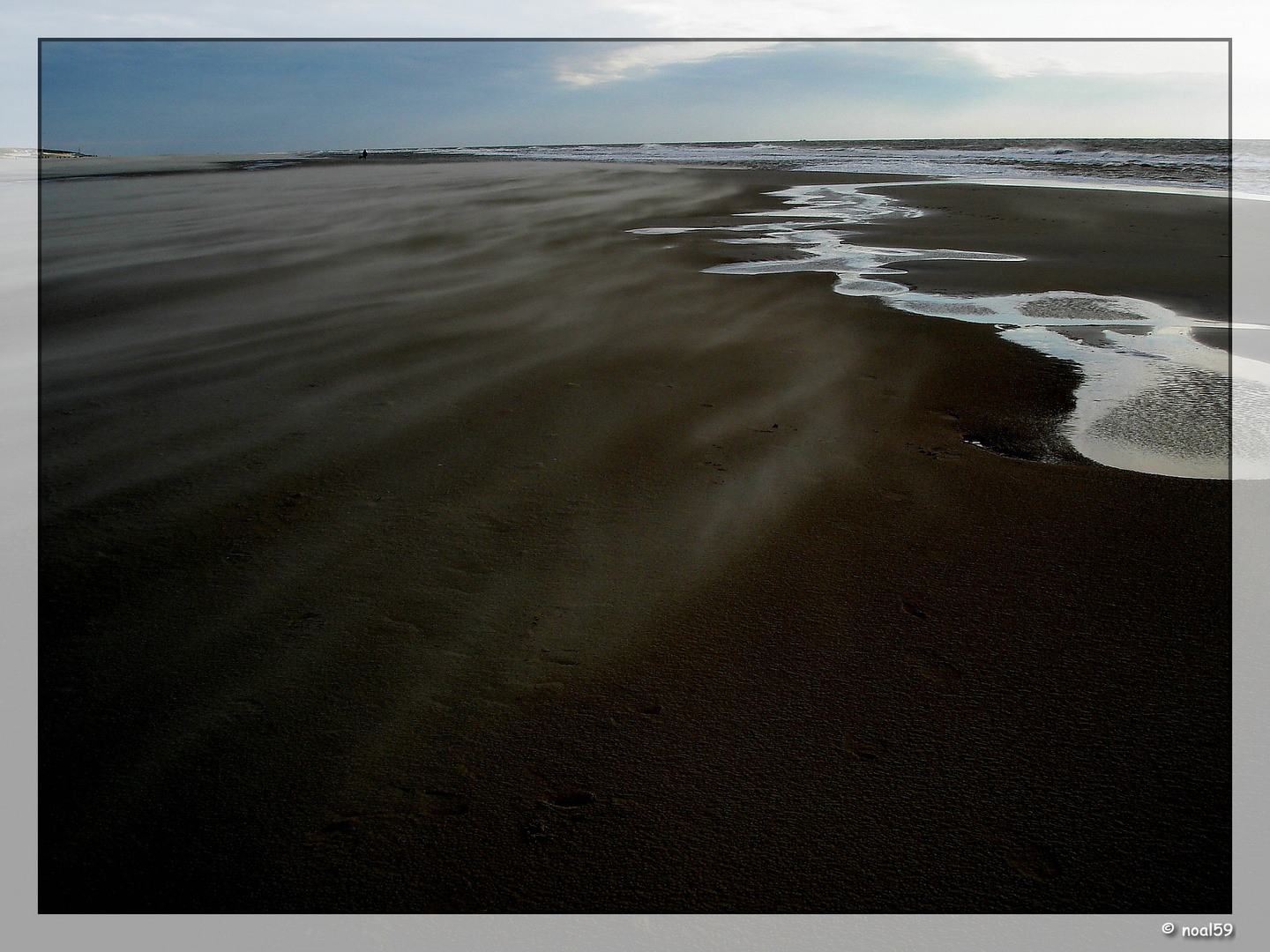 Eine steife Brise am Texelstrand