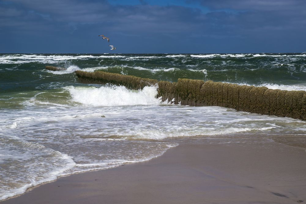 Eine steife Brise Foto &amp; Bild | sylt, world, deutschland Bilder auf ...