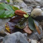 eine Steinfigur gebastelt am Ufer des Sparchenbachs