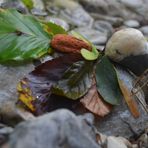 eine Steinfigur gebastelt am Ufer des Sparchenbachs