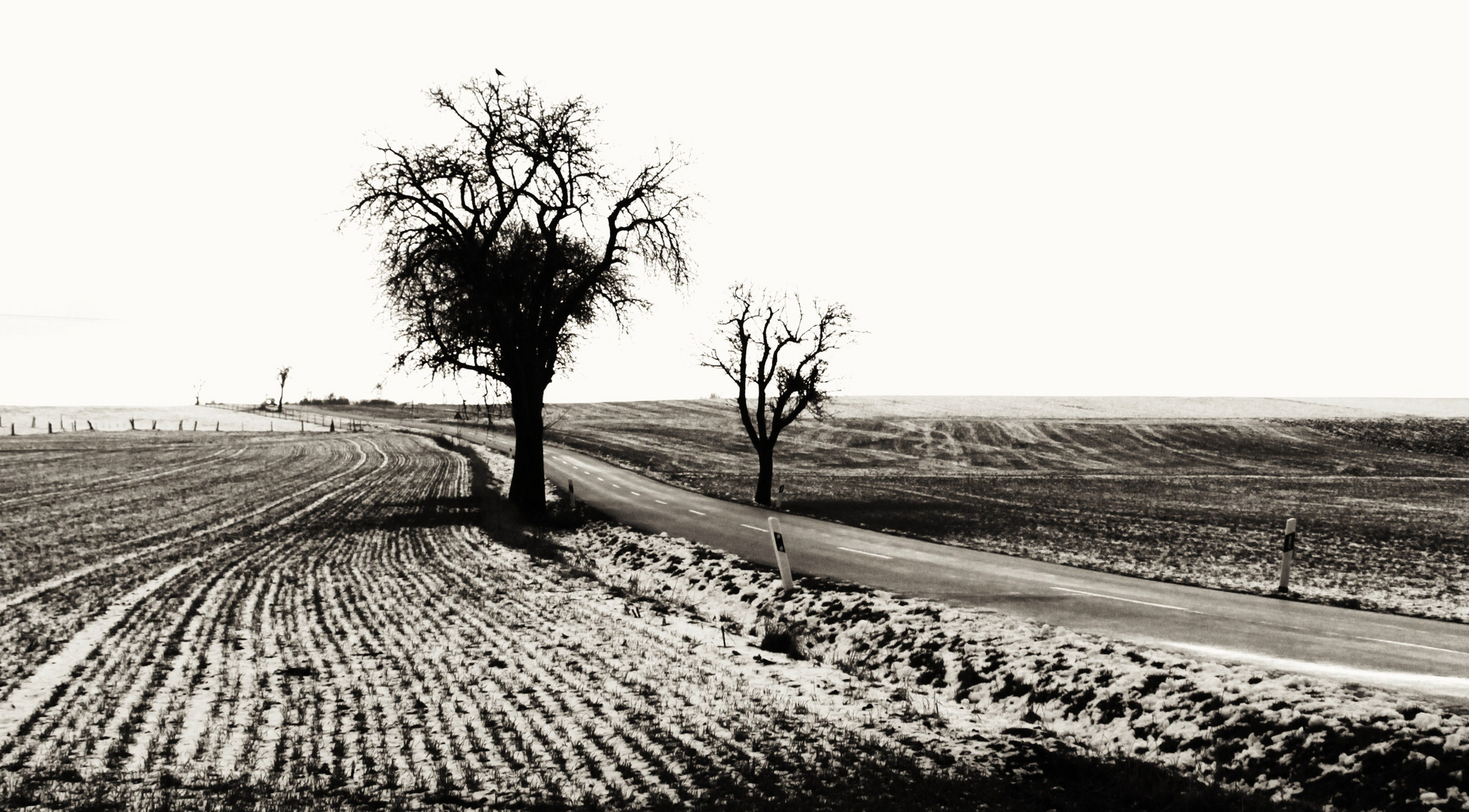 Eine Strasse im wilden Südwesten...