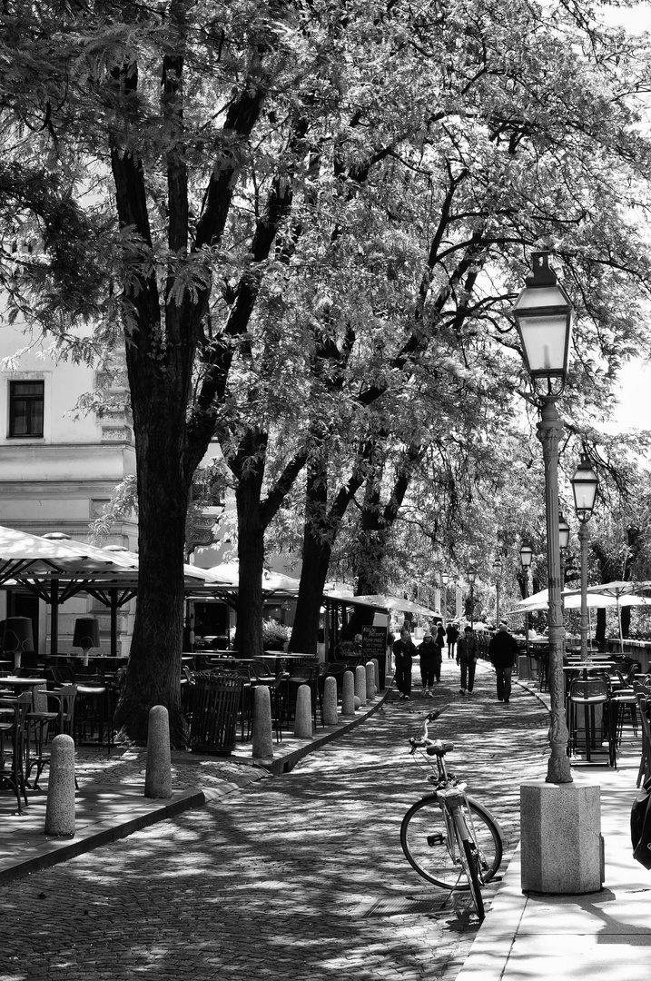 Eine Straße in Ljubljana in Schwarz-Weiß