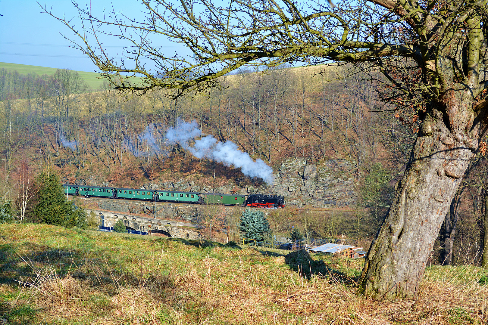 Eine Streuobstwiese in Seifersdorf