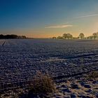 Eine Stunde nach Sonnenaufgang ...