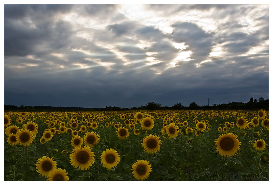 Eine Stunde vor Sonnenuntergang