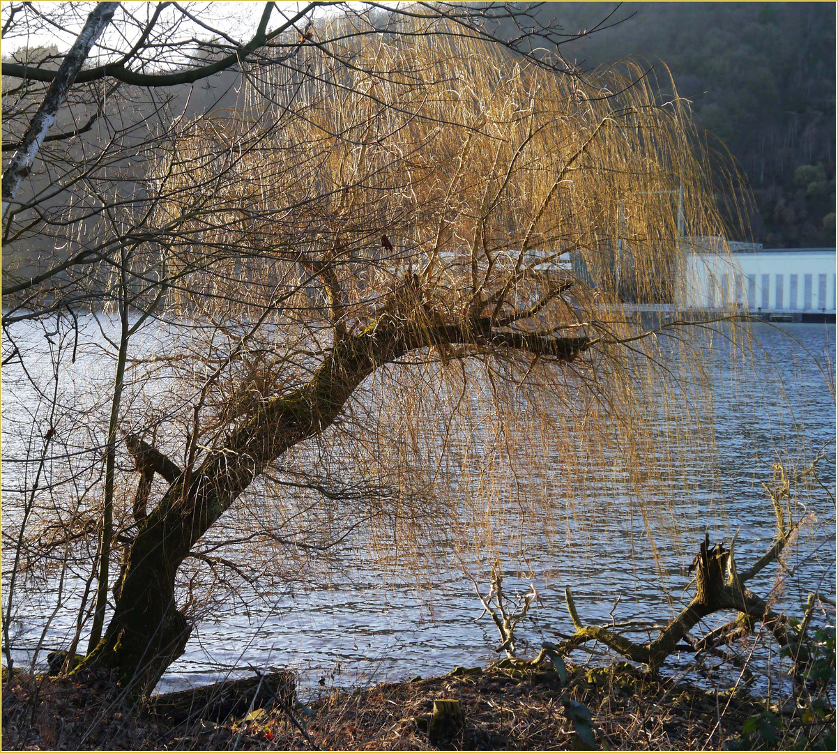 Eine Symphonie der Natur