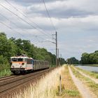 Eine "Tänzerin" am Kanal