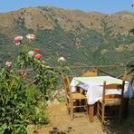 Eine Taverne auf Kreta: Eine Oase der Kühle und Stille