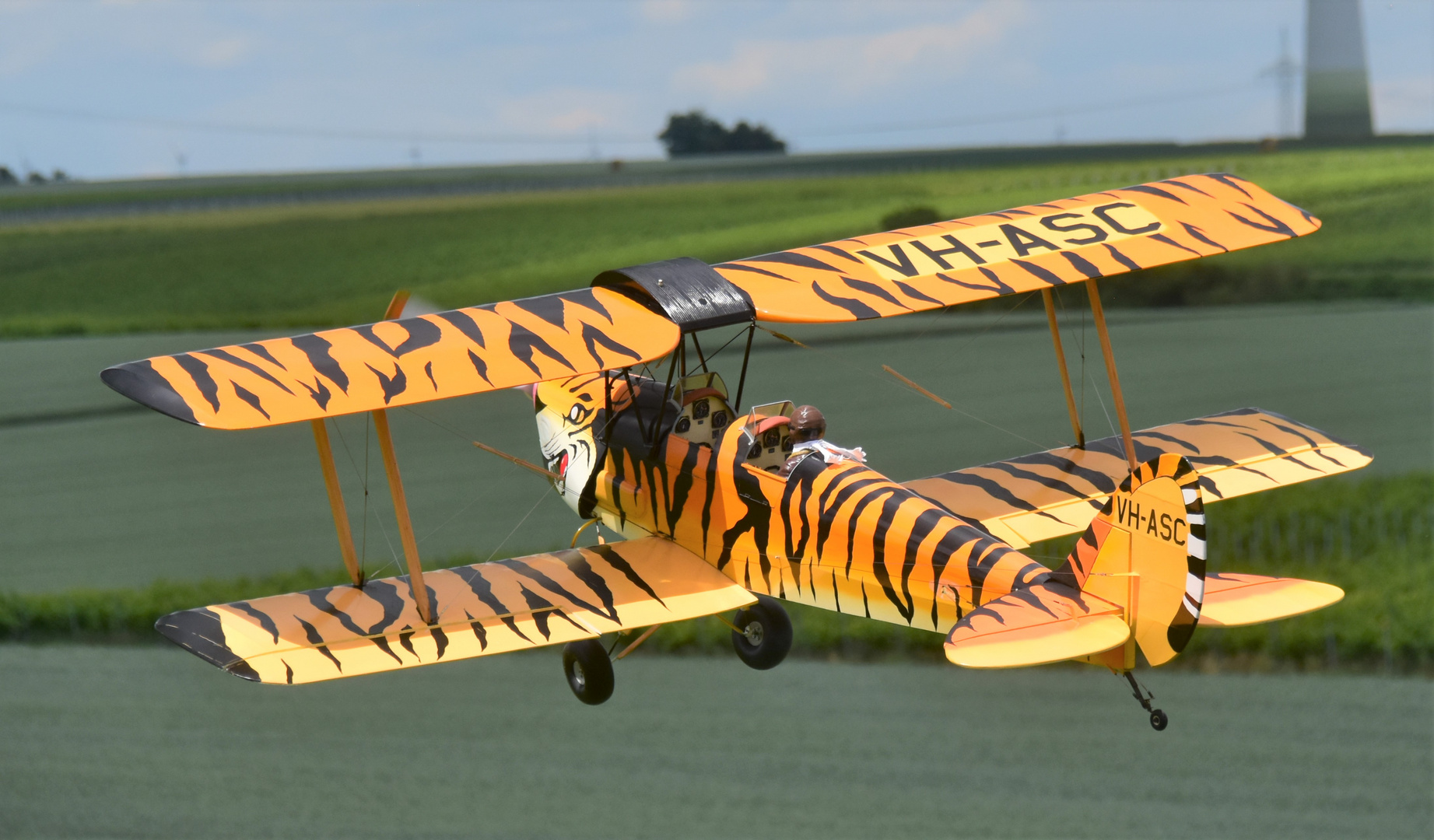 Eine Tiger Moth 