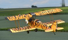 Eine Tiger Moth 