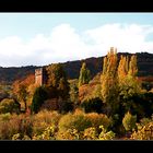 eine tolle Landschaft in den Weinbergen der Südpfalz....