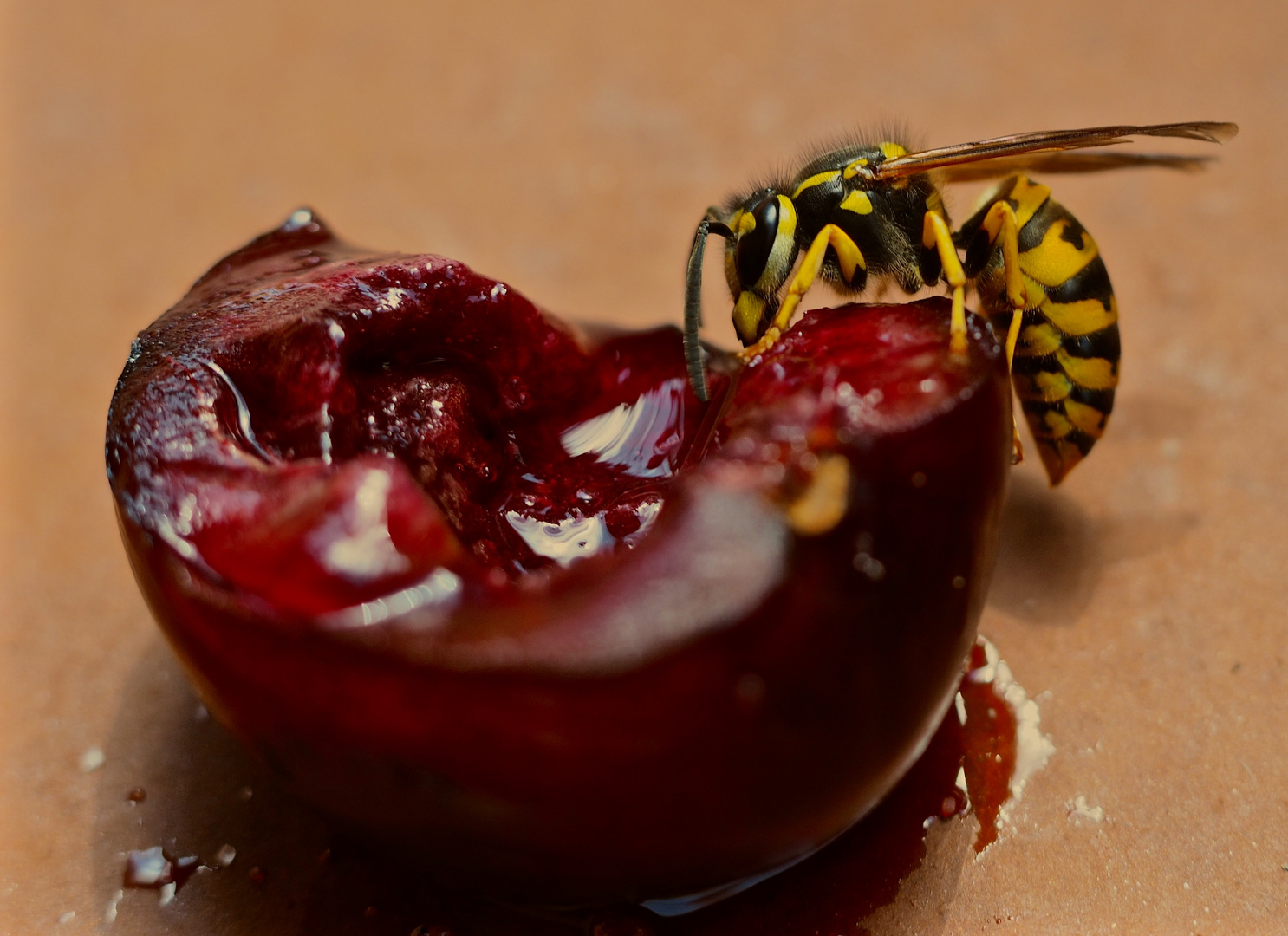 Eine tolle Mahlzeit