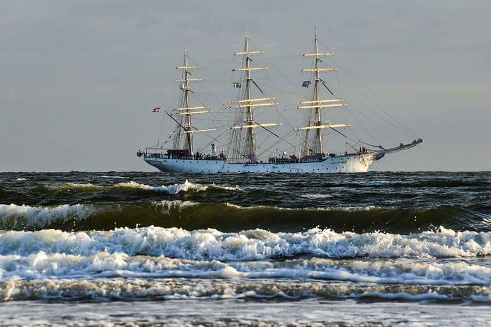 Eine tolle Überraschung vor Borkum! 