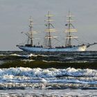 Eine tolle Überraschung vor Borkum! 