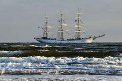 Eine tolle Überraschung vor Borkum! 