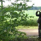 Eine tolles Weibchen in freier Wildbahn! :)