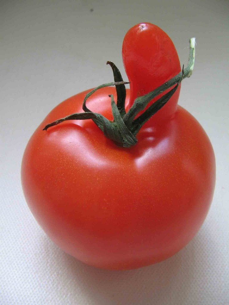 Eine Tomate ist eine Tomate isst