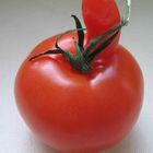 Eine Tomate ist eine Tomate isst