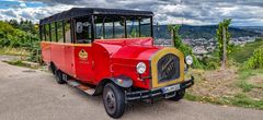 Eine Tour in die Weinberge