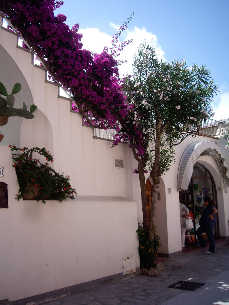 eine Treppe auf Capri